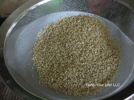 cooking-quinoa-1-optm