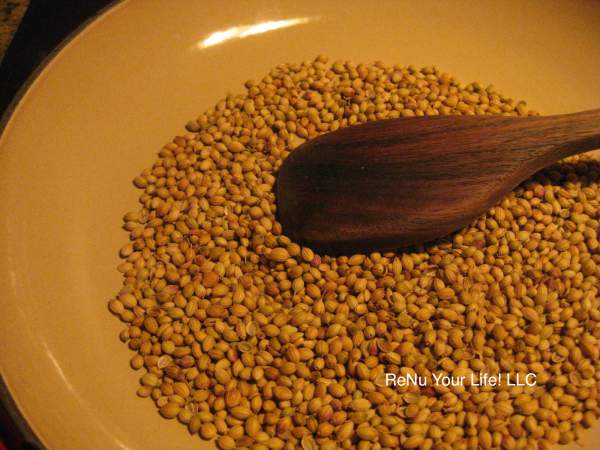 spice-coriander-1-opt