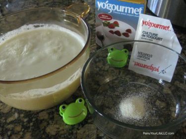 IMG_7488-yogurt-starter-Optm