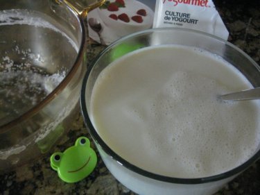 IMG_7494-milk-in-starter-Optm