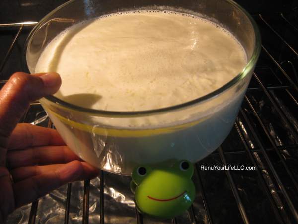 IMG_7503-Homemade-Yogurt-Optm