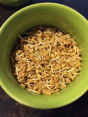 sprouted-fenugreek-seeds-optm