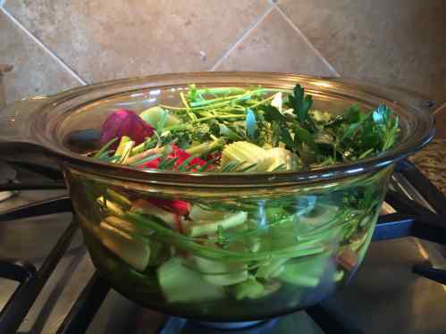 veggie broth 1